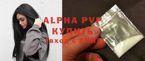 спайс Вяземский