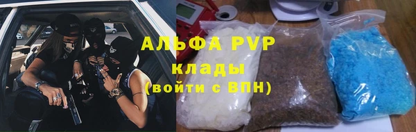 спайс Вяземский